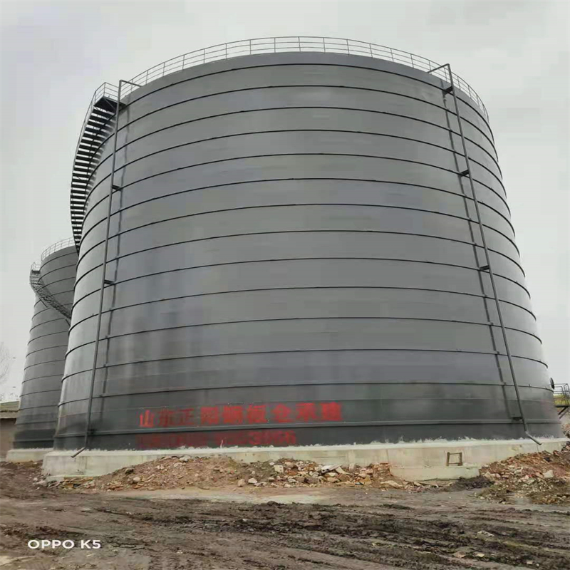 沧县3万吨大型钢板库