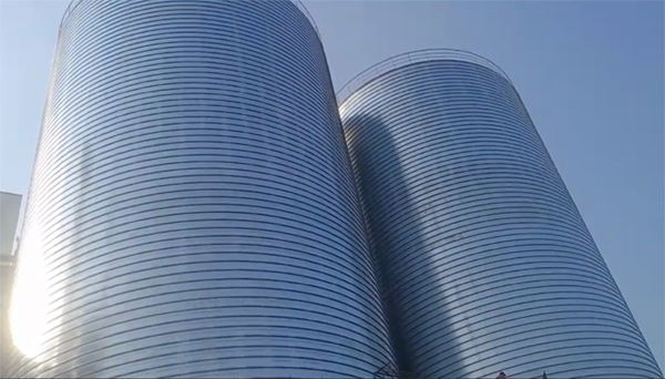 沧县2座混凝土高架卷板仓